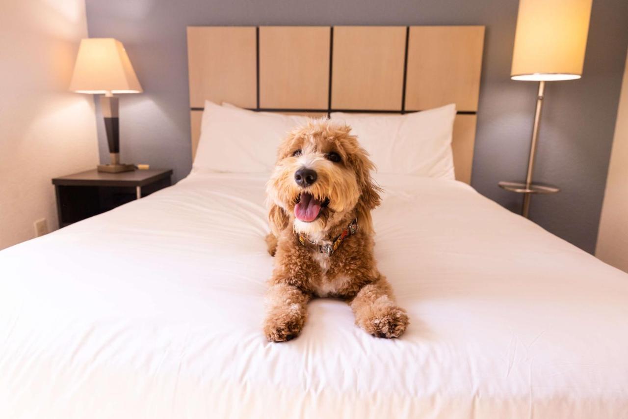 Sonesta Simply Suites Detroit Troy Esterno foto